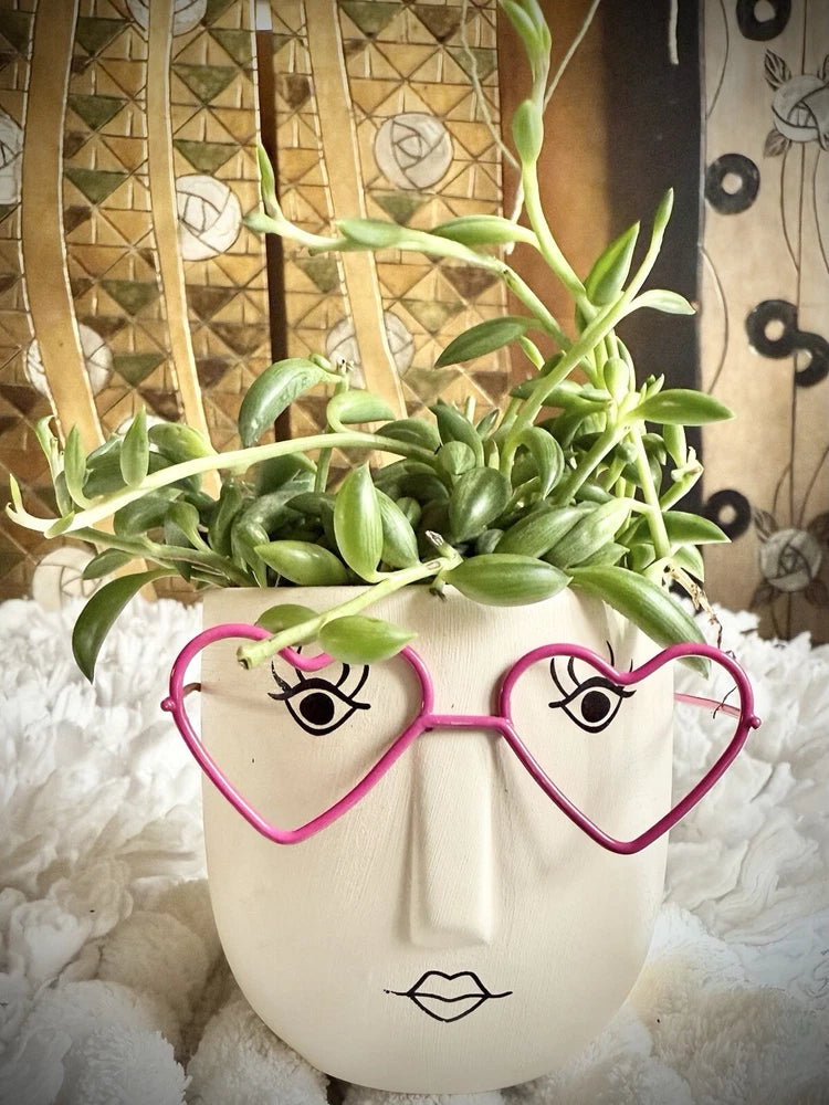 Succulent plant in heart-eyeglass face pot, white ceramic with pink heart rims