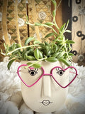 Succulent Plant In Cute Pot Special Valentine Orchids