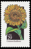 US 2666 Wildflowers Common Sunflower 29c single MNH 1992 Sunflower