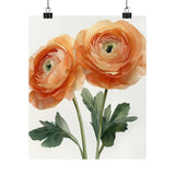 Boho Peach Ranunculus Flower Art Print Poster, Minimalist Floral Wall Art 1 Ranunculus