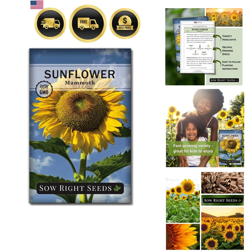 Mammoth Sunflower Seeds to Plant - Grow Giant Sunflowers in Your Garden - Non... Garden Plants