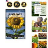 Mammoth Sunflower Seeds to Plant - Grow Giant Sunflowers in Your Garden - Non... Garden Plants