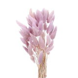 50pcs Natural Bunny Tail Dried Flowers 20" Mini Pampas Grass, Purple Dried Flower
