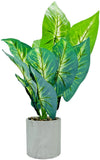 WUKOKU 16" Fake Plants Artificial Potted Faux Evergreen Home Kitchen Office Deco Green Plant