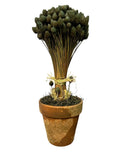 Topiary Green Plant Tree Rustic Terracota Pot Planter Decor 13" Green Plant