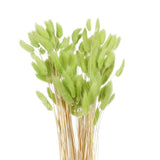 120pcs Natural Bunny Tail Dried Flowers 24" Mini Pampas Grass, Olive Green Pampas Grass