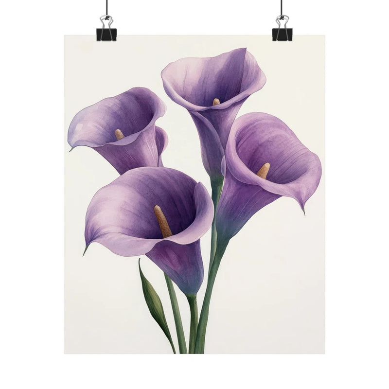 Lavender calla lily flower art print poster with purple trumpet blooms and green stems