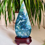 4.65LB Natural green aquatic plant droplet shaped crystal specimen Green Plant