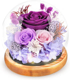 Preserved Flowers Rose in Glass Dome Forever Flowers Valentines Day Gifts for He Roses