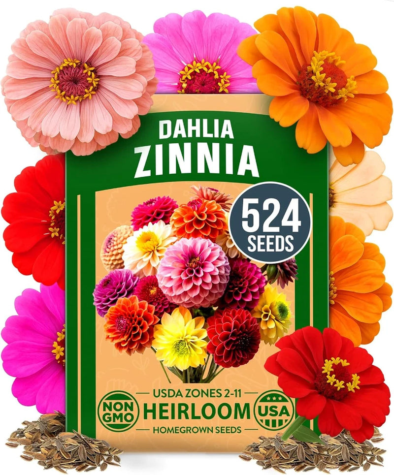 Zinnia Dahlia Seeds Pack 2026 | Non-GMO 524 Seeds for Vibrant Gardens Garden Plants