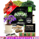 Premium Bonsai Gift Set Miniature Tree Kit Indoor Outdoor Relaxation Decor New Green Plant
