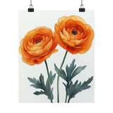 Boho Orange Ranunculus Flower Art Print Poster, Minimalist Floral Wall Art 2 Ranunculus