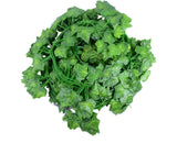 LIFKOME 12pcs Faux Greenery Vine Garland Artificial Leaves for Home Green Plant