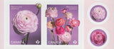 CANADA 2023 #3375-76 * RANUNCULUS - PERSIAN BUTTERCUP  Flowers * middle BK pair Ranunculus