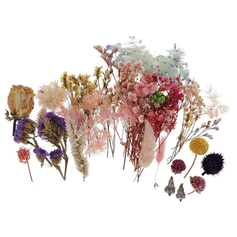 Assorted dried flowers and leaves bunches, multicolor for epoxy resin DIY jewelry
