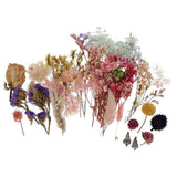 Various Real Press Dried Flowers Leaves For DIY Epoxy Resin Jewelry Making Dried Flower