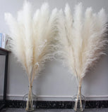 46" inch 10 Stems Cream Pampas Grass Decor Tall, Dry Flowers for Floor Vases ... Pampas Grass