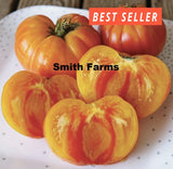 50+ Seeds Pineapple Tomato Hybrid Vegetable Garden Planting Tomatoe USA Garden Plants