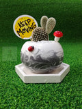 Natural Eco Friendly Cactus Motivation theme Gift Pots-Home,Hotel,Garden,Office Garden Plants