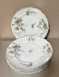 6 Haviland Limoges Sylvia Porcelain SALAD Plates Trailing Roses 7.25" Diameter Roses