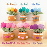 Handmade Crochet Flower Pot (included) Vase (included) | Pink Tulip Decor | Dried Flower