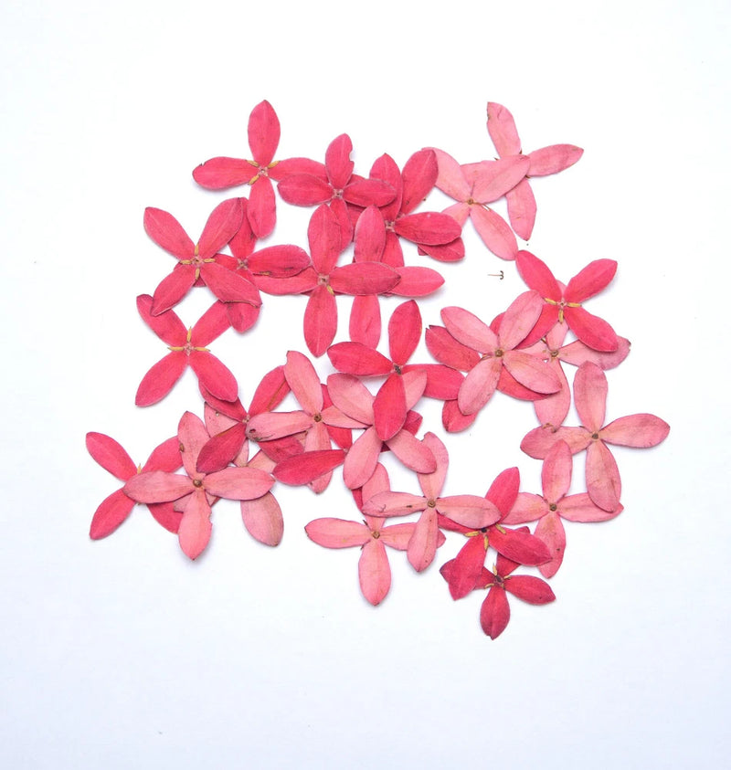 Dried pressed pink flowers with small petaled shapes for resin art and DIY crafts