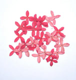 Pink Pressed Flowers Ð 100% Organic for Resin Art Crafts & DIY Ð 50/100/200 Lots Dried Flower