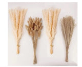 Natural Dried Pampas Grass Decor, Beige Pampas Grass, Bunny Tails Dried Flowers Pampas Grass