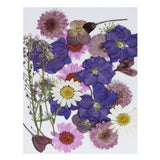 Dried Pressed Flowers Natural Leave Real Pressed Flowers Purple Series Dried Flower