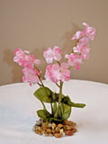 5.5" Small Two-tone PINK Soft Silk Baby's Breath FLOWER Betta-safe plant, stone Flowering Plants