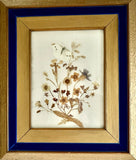 Vintage Framed Dried Pressed Flowers & Butterfly Picture 10.5Ó X 12.5Ó Dried Flower
