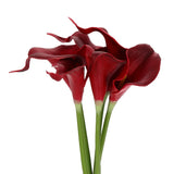 6 Pcs 13 Inch Artificial Calla Lily Fake Flowers Real Touch, Burgundy/Yellow Lily