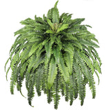 Artificial Fern for Outdoor Large 68" Fake Fern Artificial Plants UV Resistant F Green Plant