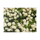 Framed Flower Wall Art Ð White Hydrangeas Canvas Photography, 24x18 Home Decor Hydrangea