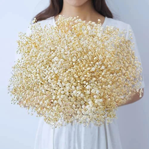 Ivory white dried baby's breath flower bouquet, full airy clusters