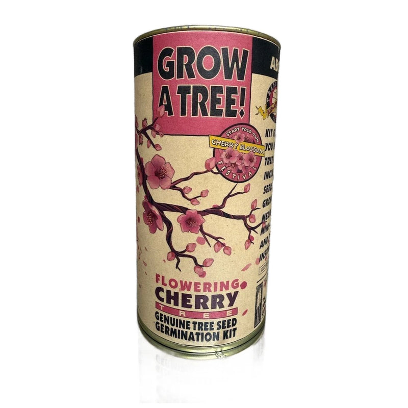Cherry Blossom Seed Kit by Jonsteen - Easy Grow Indoor/Outdoor Garden Plants