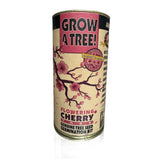 Cherry Blossom Seed Kit by Jonsteen - Easy Grow Indoor/Outdoor Garden Plants