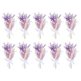 10 Pcs Mini Pampas Grass Dried Flower Bouquet Boho DIY Gift Purple Dried Flower
