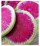 Exotic Radish Watermelon Seeds for Planting - 250+ Seeds - Rare Garden Vegetable Garden Plants