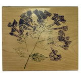Inkadinkado Flower Stem Hydrangea Bloom Rubber Stamp 90608X Hydrangea