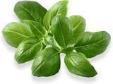 Genovese Basil Seed Pods w Plant Food for Click and Grow & Outdoor Gardens Garden Plants