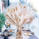 95 PCS Natural Pampas Grass Decor Bouquet | Boho Dried Floral Arrangement 95PCS Pampas Grass
