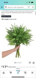 2 Packs of 12 Faux Greenery Stems Ferns Artificial Plants Green Plant