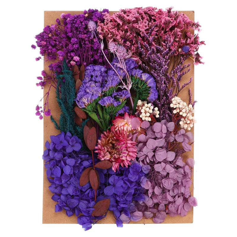 Pressed Flowers Bulk Dried Flowers Natural Pressed Flowers Leaves Purple Dried Flower
