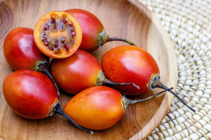 10 TAMARILLO / TREE TOMATO Cyphomandra Betacea Solanum Fruit Tree Seeds Flowering Plants