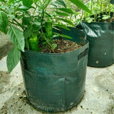 3X 10 Gallon Plant Grow Pots Bags Vegetable Plants Planter Container Gardening Garden Plants