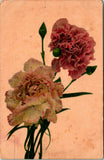 Stemmed Pink and White Carnation Flower Postcard used (15255) Carnation