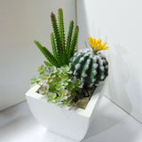 3 Pcs Artificial Plants Cactus Yellow Flower Flocking Succulents Grass (#105) Green Plant