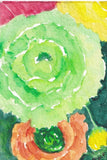 Original ACEO Ranunculus Watercolor Painting art by Sharon Foster Ranunculus