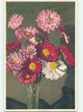 Pre-Chrome made in switzerland LARGE DETAILED PERENNIAL DAISY FLOWERS HJ3803 Daisies
